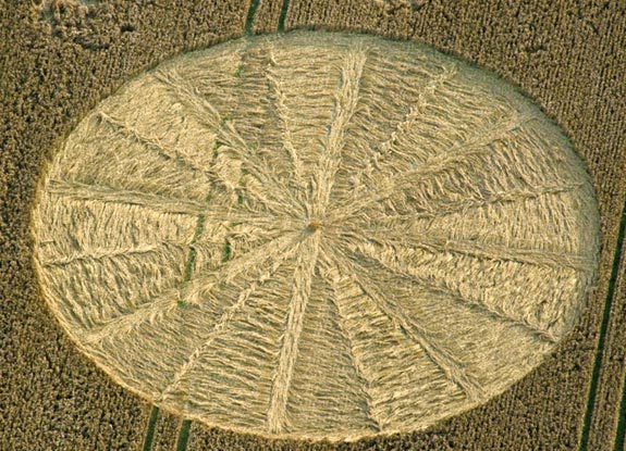 crop circle at Bishop Cannings | August 12 2012