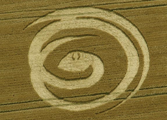 crop circle at Woolstone | August 14 2012