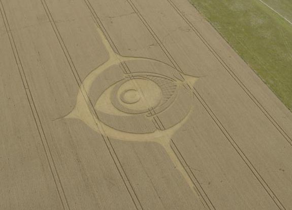 crop circle at Woodborough Hill| August 20 2012