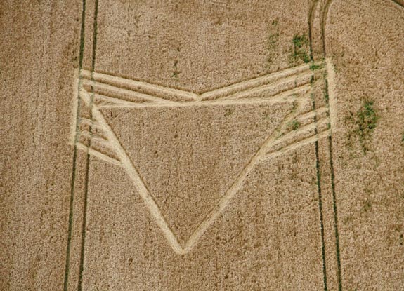 crop circle at Furze Hill| August 21 2012