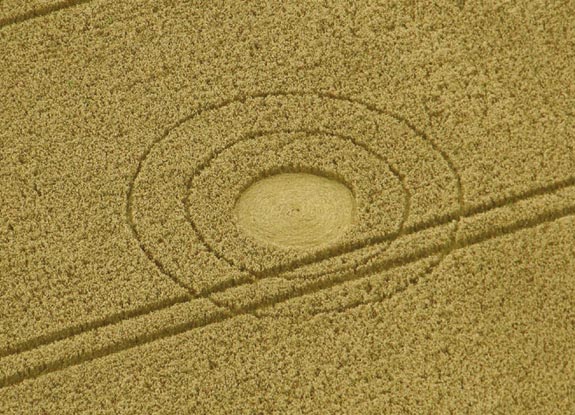 crop circle at Hackpen Hill| August 21 2012