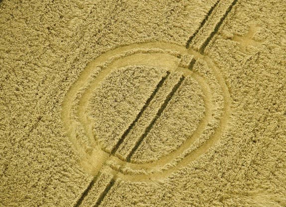 crop circle at Hackpen Hill| August 21 2012