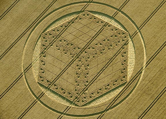 crop circle at Hackpen Hill |  August 26 2012