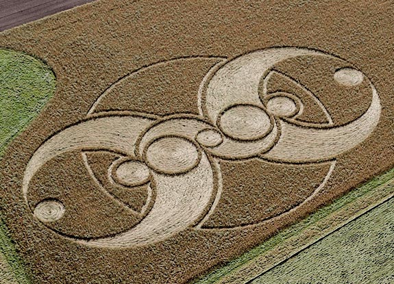 crop circle at Windmill Hill |  October 14 2012