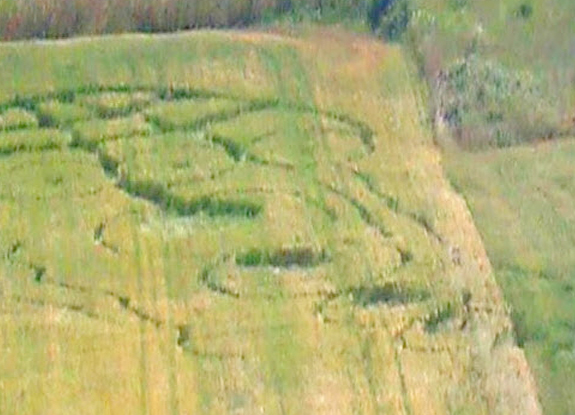 crop circle at Palazzo San Gervasio | May 21 2013