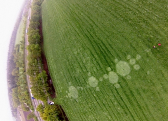 crop circle at Bosschenhoofd |  May 21 2013