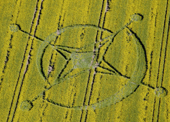 crop circle at Alton Barnes | June 02 2013
