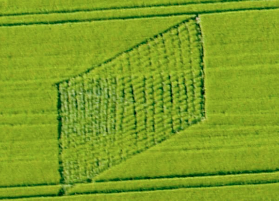 crop circle at Stanton St Bernard | June 09 2013