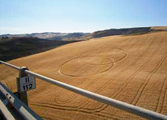 crop circle at Enna | June 12 2013