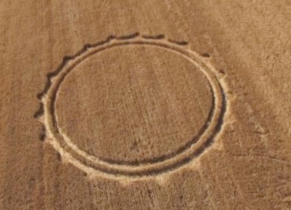 crop circle at Cisterna | June 20 2013