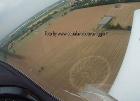 crop circle at Brignano | July 01 2013