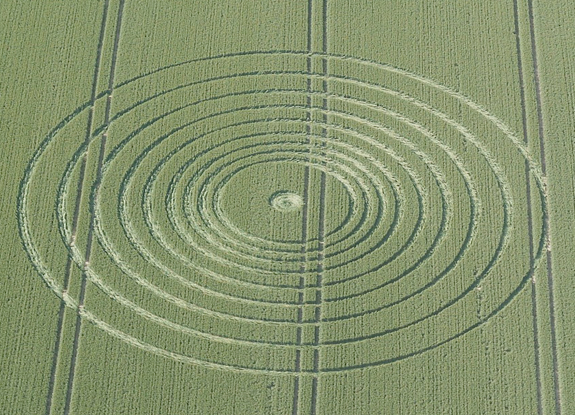 crop circle at Avebury | July 06 2013