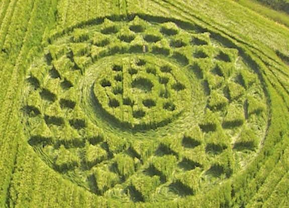 crop circle at Broad Hinton | July 06 2013