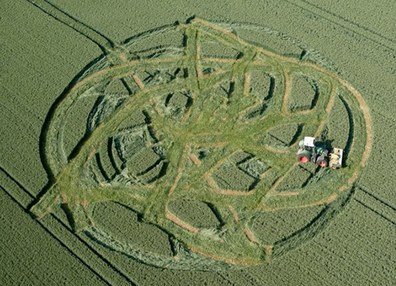 crop circle at Lockeridge | July 08 2013