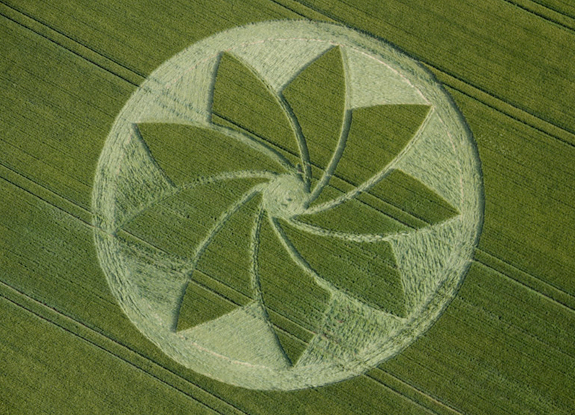 crop circle at Hoden | July 13 2013