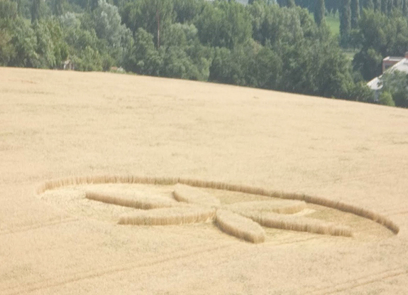 crop circle at Lipnik | July 14 2013