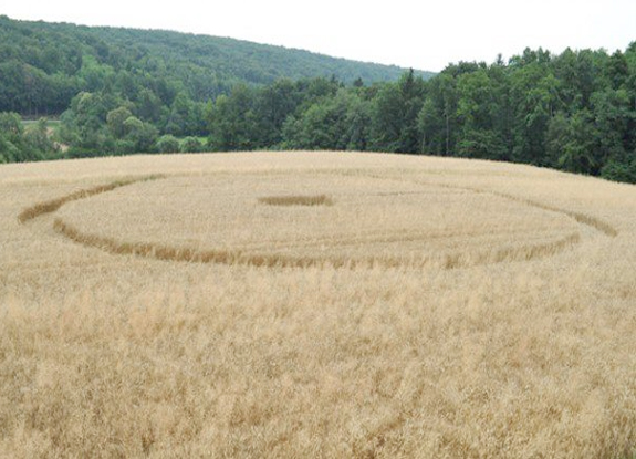crop circle at Pecarovci | July 16 2013