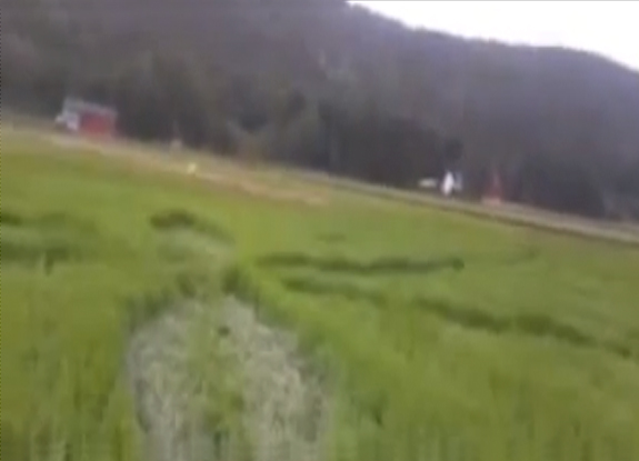 crop circle at Porsgrunn | July 18 2013