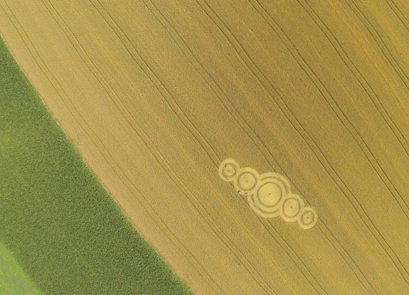 crop circle at Momalle | July 21 2013