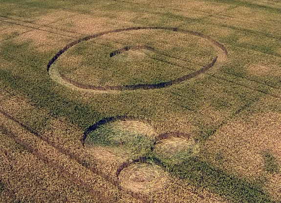 crop circle at Hoeven | July 21 2013