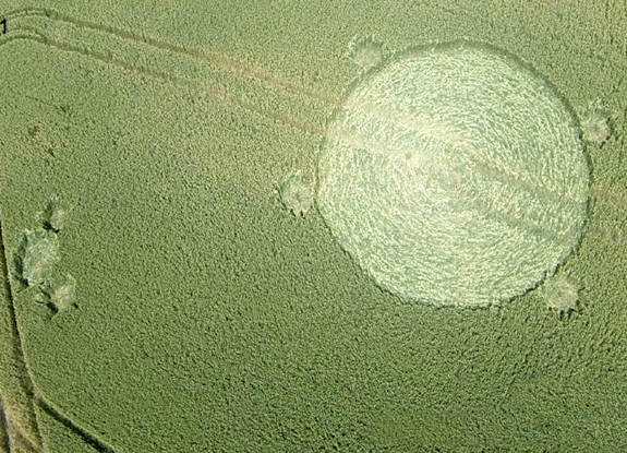 crop circle at Standaardbuiten | July 21 2013