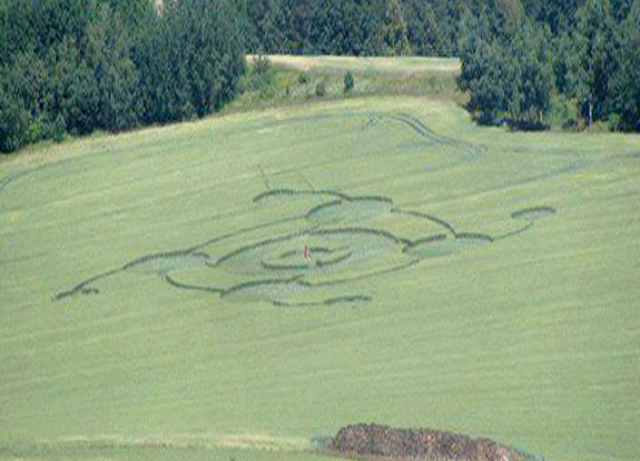 crop circle at Rozsec nad Kunstatem | July 22 2013