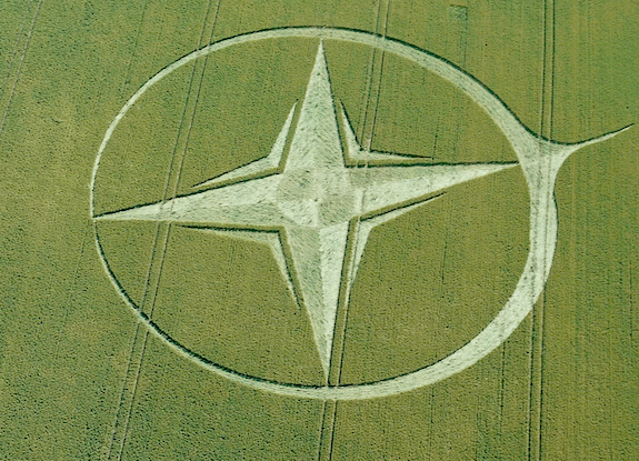 crop circle at Roundway Hill | August 01 2013