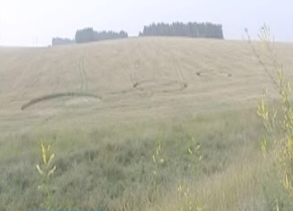 crop circle in Russia | August 08 2013