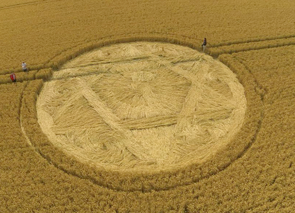 crop circle at Hackpen Hill | August 11 2013