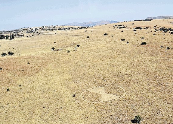 crop circle at Tarlton | August 12 2013