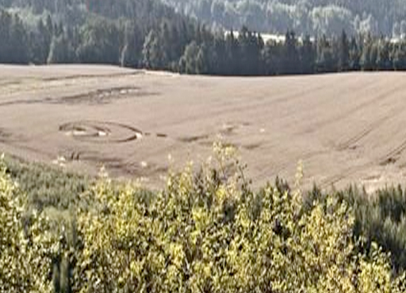 crop circle at Radnice | August 23 2013