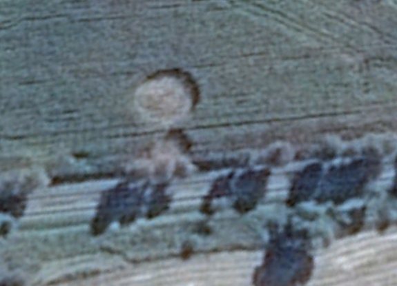 crop circle at Wylatowo | August 24 2013