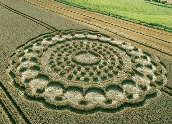 crop circle at Hackpen Hill | August 31 2013