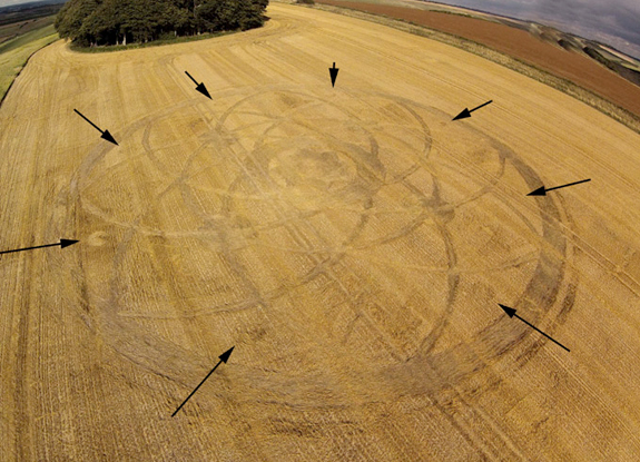 crop circle at Hackpen Hill | September 03 2013