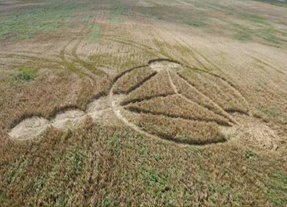 crop circle at Klepp | September 15 2013