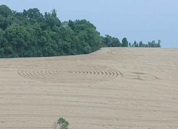 crop circle at Ipuacu | November 02 2013