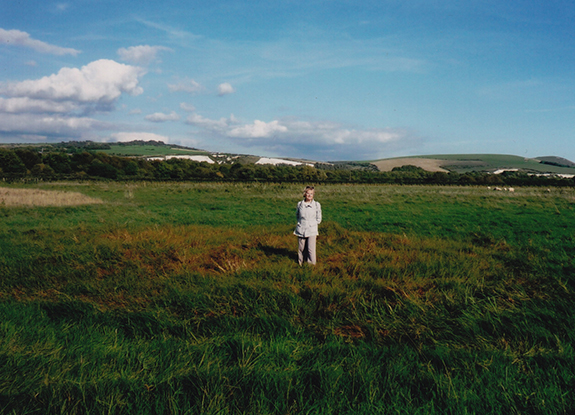 crop circle at Lewes | Summer 2013