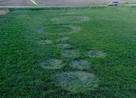 crop circle at Hoeven | April 8 2014