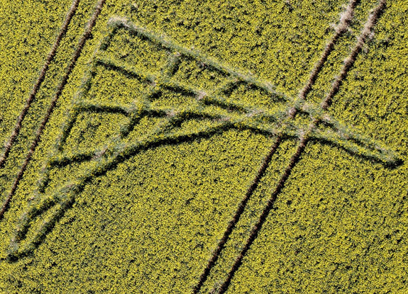 crop circle at Brimslade | April 16 2014