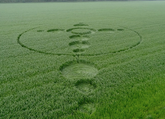 crop circle at Hoeven | April 19 2014