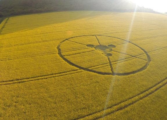 crop circle at Hambledon Hill | April 30 2014