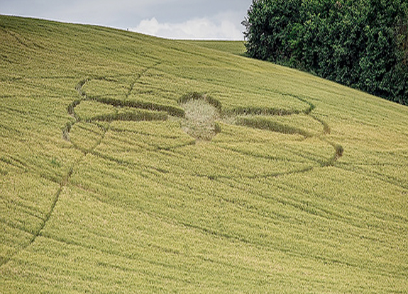 crop circle at Marsciano | May 17 2014