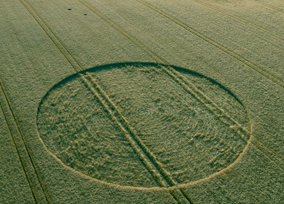 crop circle at withheld | June 29 2014