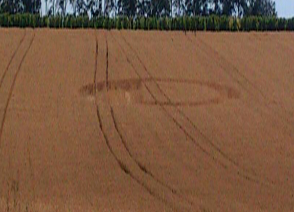 crop circle at Landau | early June 2014