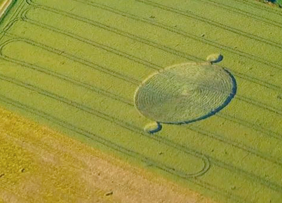 crop circle at Cerkvenjak | June 6 2014