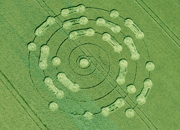 crop circle at Chilcomb | June 6 2014