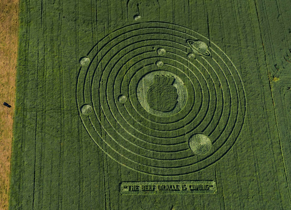 crop circle at Hunter Valley | June 8 2014