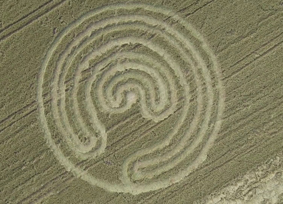 crop circle at Cerkvenjak | June 6 2014