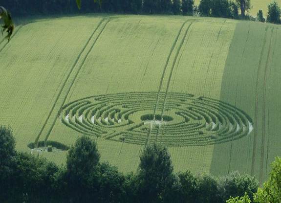 crop circle at Cellé | June 12 2014