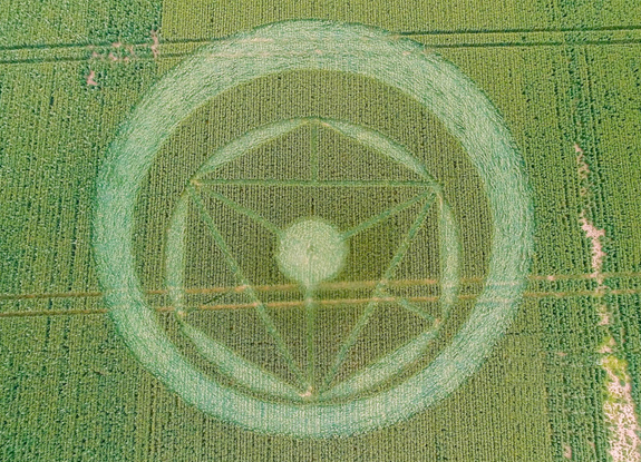 crop circle at Southend-on-Sea | June 14 2014